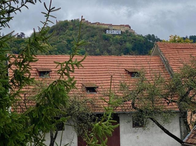 Pensiunea Casa Saxonia Rîşnov Dış mekan fotoğraf