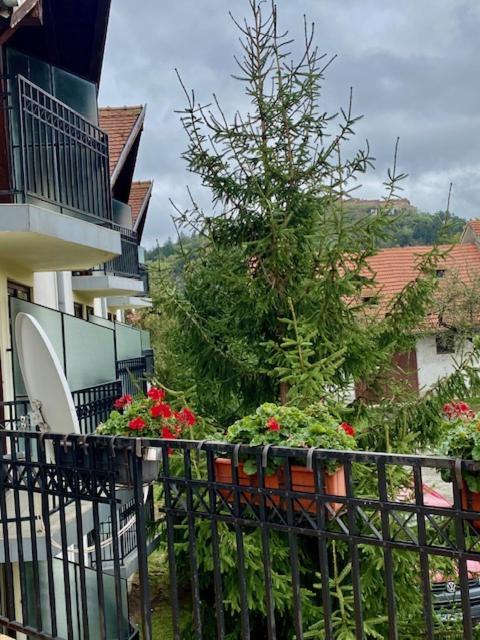 Pensiunea Casa Saxonia Rîşnov Dış mekan fotoğraf
